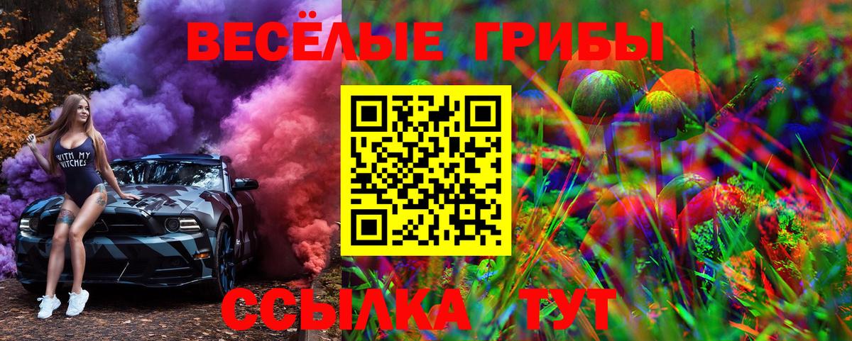 Галлюциногенные грибы GOLDEN TEACHER Раменское