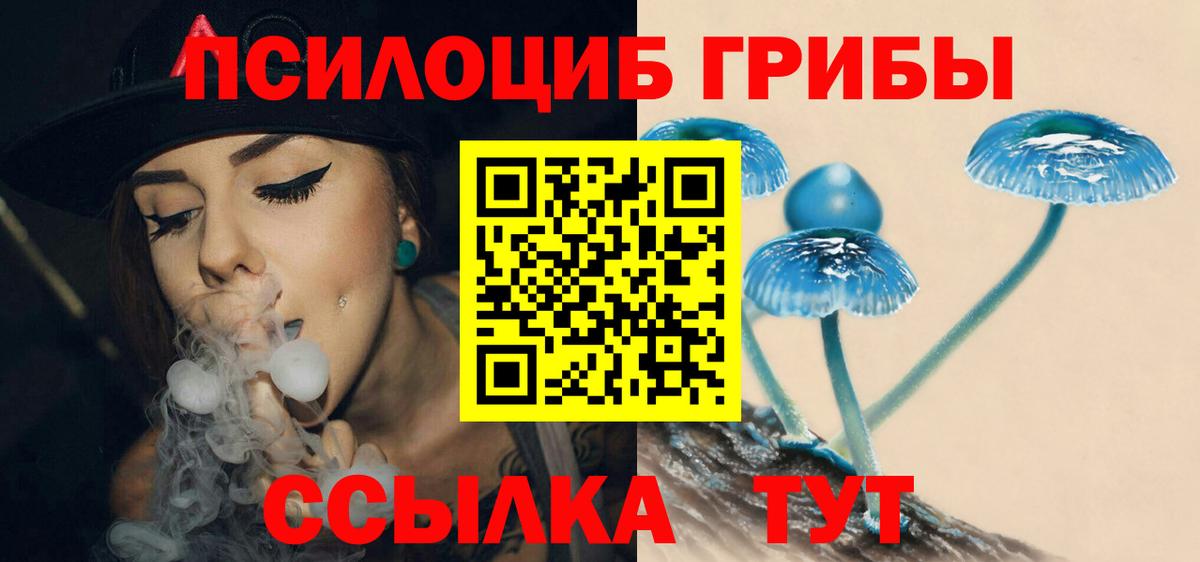 закладка  Галлюциногенные грибы Psilocybine cubensis  Галлюциногенные грибы Psilocybine cubensis  Вход с VPN  Раменское 